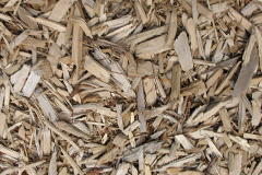biomass boilers Waddicombe
